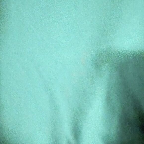 FADED GLORY BRAND WOMENS PLUS SIZE SHIRT - Picture 3 of 5